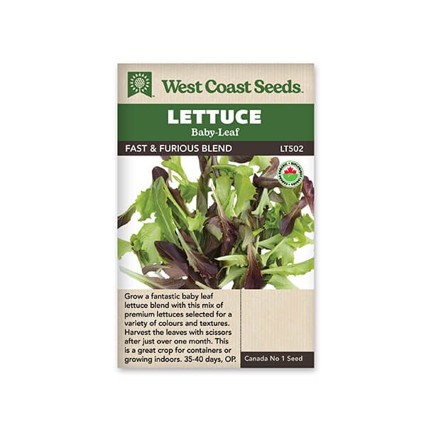 West Coast Seeds Lettuce Blend